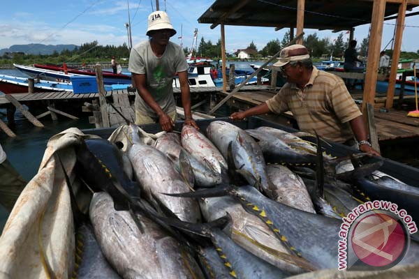 Ikan Tuna, Kepiting Hidup dan Aglonema sumber penerimaan ekspor Aceh