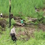 BNN dan Polri Kompak Tolak Kepmentan Penetapan Ganja Tanaman Obat