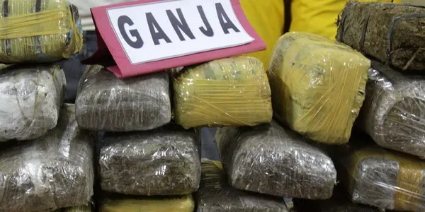 12 kg ganja tertahan di Bandara SIM Aceh Besar