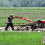 Patut Dicontoh, Begini Konsep Pertanian Berkelanjutan Ala Petani AS