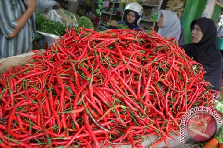 Harga cabai merah di Aceh turun jadi Rp60 ribu per kilogram