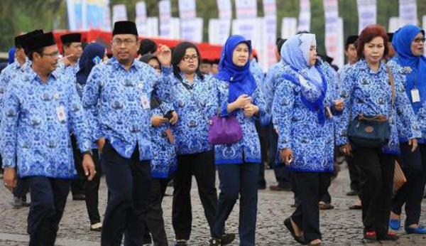 Aceh Timur buka lowongan 1.511 pegawai kontrak