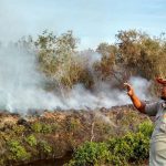 Mentan Ingatkan Jangan Ada Lahan Menganggur di Daerah