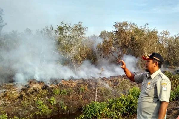 Mentan Ingatkan Jangan Ada Lahan Menganggur di Daerah