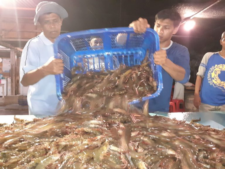 Udang vaname menu pilihan untuk diet