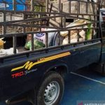 Polisi Ringkus Petani Bawa Ganja di Nagan Raya