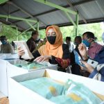 Pemerintah Aceh Mulai Salurkan Masker Gratis untuk Masyarakat