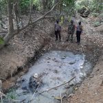 Anak Gajah Ditemukan Mati di Hutan Produksi