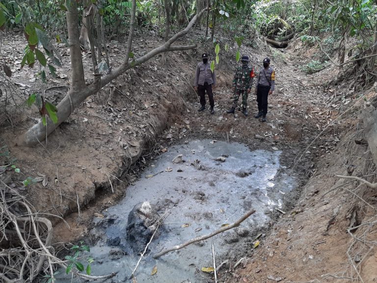 Anak Gajah Ditemukan Mati di Hutan Produksi