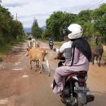 Jalan Lintas Cot Iri Rusak Parah Menunggu Proses Peralihan Jalan Provinsi
