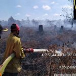Kabakaran di Aceh Barat Masih Sulit Dipadamkan karena Lahan Gambut