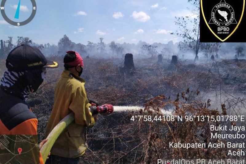 Kabakaran di Aceh Barat Masih Sulit Dipadamkan karena Lahan Gambut