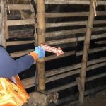 Pemuda Aceh Utara nekat bakar diri di kandang kambing