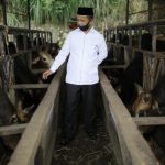 Kadis Peternakan Aceh Apresiasi Kritikan Masyarakat