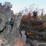 10,5 Hektare Lahan Terbakar di Aceh Barat Belum Padam