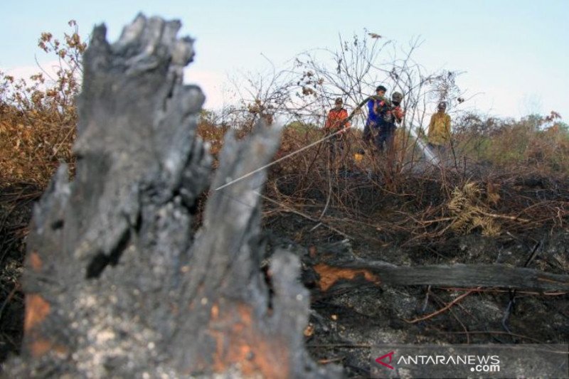 10,5 Hektare Lahan Terbakar di Aceh Barat Belum Padam