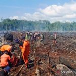 BMKG imbau warga waspadai karhutla di Aceh