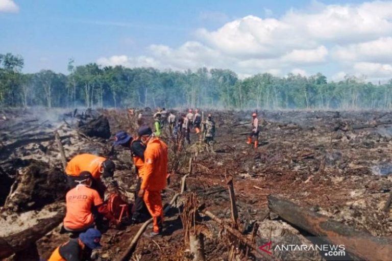 BMKG imbau warga waspadai karhutla di Aceh