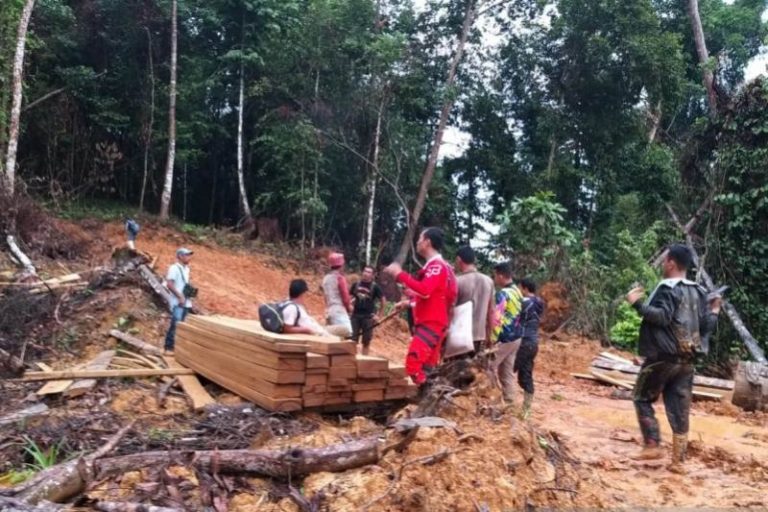 Polisi Ringkus Pelaku Pembalakan Liar di Aceh Jaya