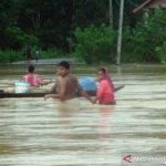 Ribuan Rumah Terendam Banjir di Aceh Barat