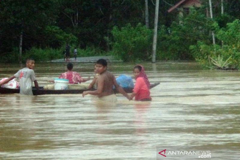Ribuan Rumah Terendam Banjir di Aceh Barat