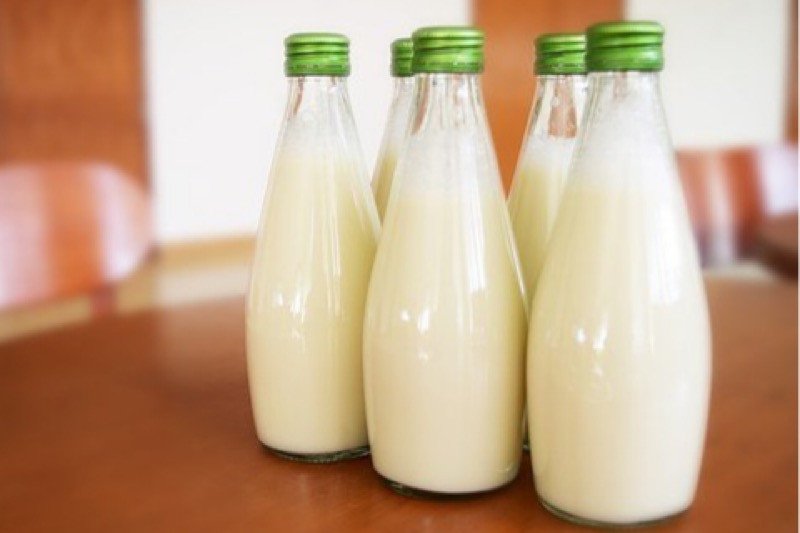 Hasil Penelitian Minum Susu Mentah Bisa Sebabkan Penyakit