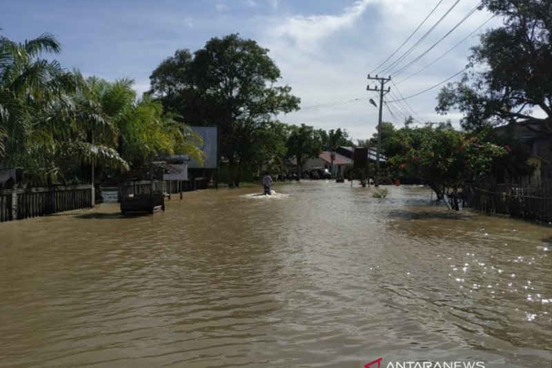Banjir Rendam 23 Desa, Transportasi Lumpuh di Nagan Raya