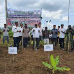 penyerahan bibit jagung ke petani di Desa Desa Sido Mulyo, Kecamatan Kuta Makmur, Aceh Utara.