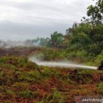 Enam Hektare Lahan Gambut di Aceh Barat Terbakar