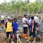 Kebakaran di Aceh Berat Meluas ke Johan Pahlawan