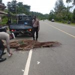 Tabrak Mobil Parkir, Warga Aceh Jaya Meninggal