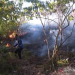 Empat Ha Lahan Gambut Hangus Terbakar di Aceh Selatan