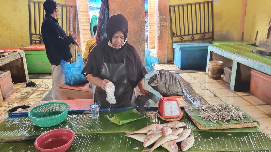 Harga Ikan Mahal di Pidie Jaya