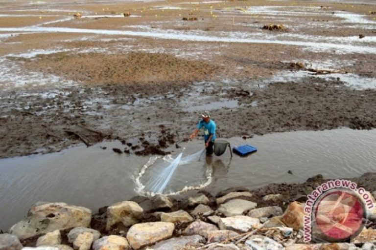 Pemko Banda Aceh Diminta Relokasi TPA di Situs Sejarah