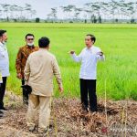 Presiden Jokowi Minta Daya Ungkit Ekonomi Desa Diperkuat