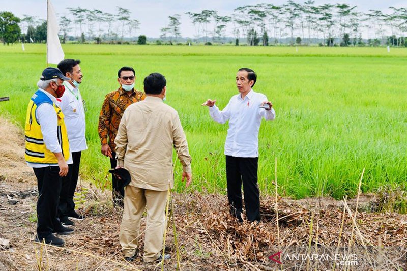 Presiden Jokowi Minta Daya Ungkit Ekonomi Desa Diperkuat