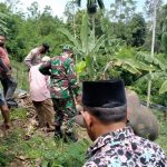 Seekor Gajah Liar Jantan Ditemukan Mati di Pidie