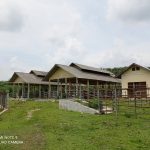 Bangunan Penggemukan Sapi Terbengkalai di Aceh Tamiang