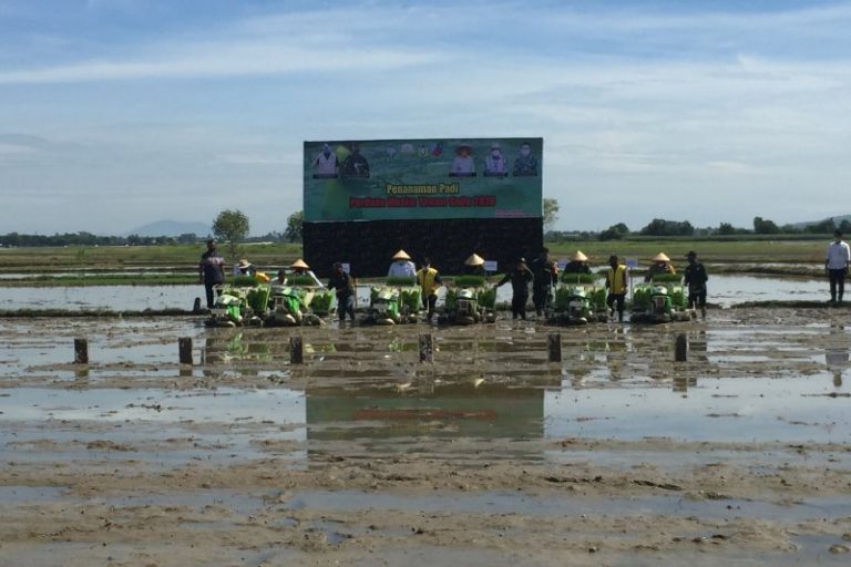 Luas Tanam Rendengan di Aceh Besar 27.992 Hektare