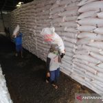 Kementrian Pertanian kurangi alokasi pupuk subsidi untuk Aceh