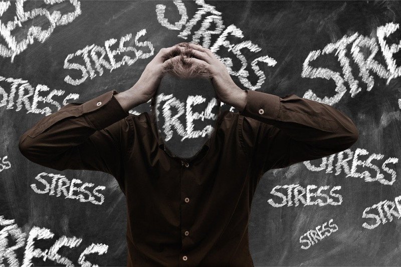 Psikolog: Stres bisa sebabkan anak alami gangguan makan