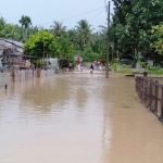 206 Rumah Terendam Banjir di Aceh Timur