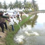 1,2 Juta Benih Ikan Dibagikan untuk 27 Kecamatan di Aceh Utara