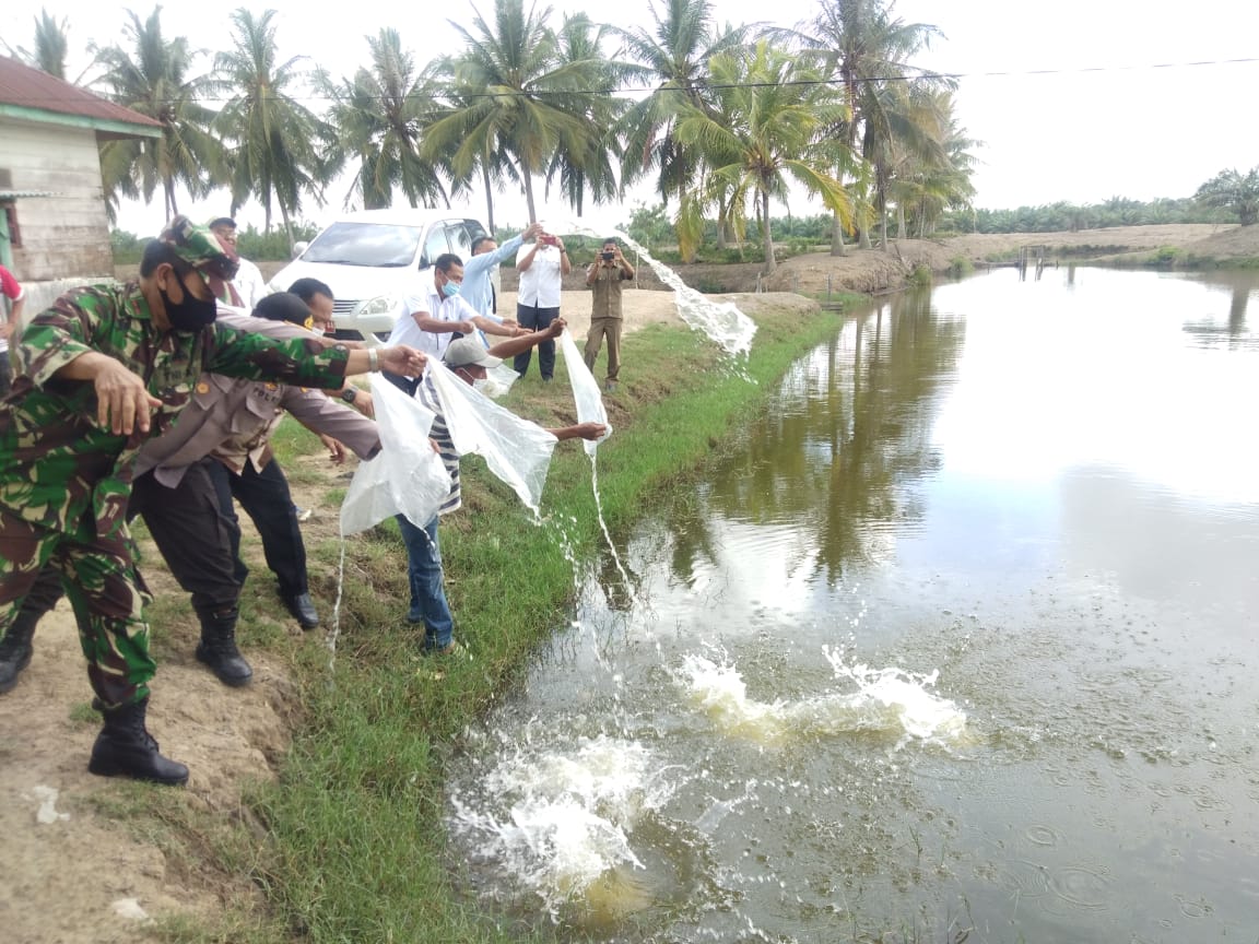 1,2 Juta Benih Ikan Dibagikan untuk 27 Kecamatan di Aceh Utara