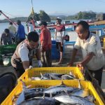 Angka konsumsi ikan di Aceh lebihi rata-rata nasional