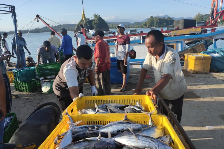 Angka konsumsi ikan di Aceh lebihi rata-rata nasional