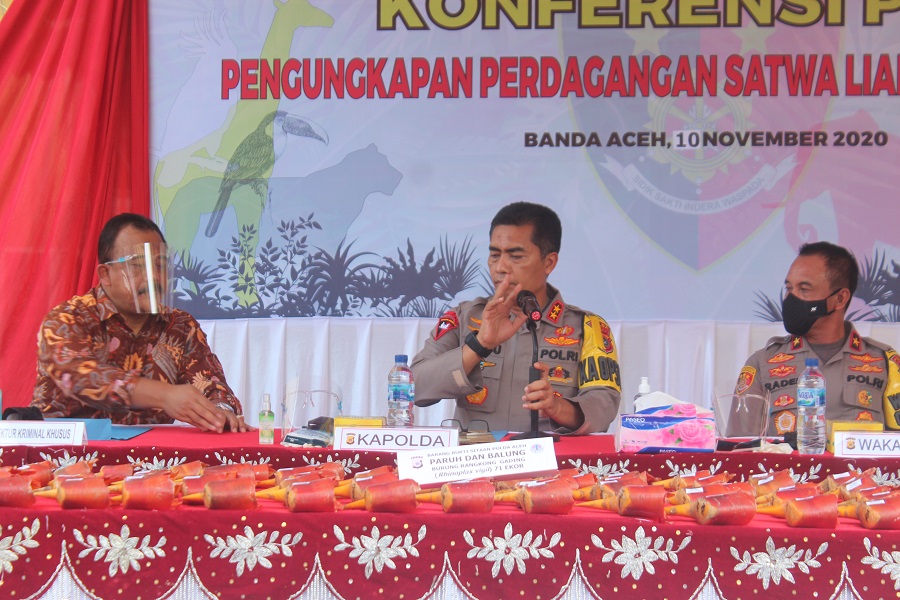 Polda Aceh Bongkar Diduga Sindikat Perdagangan Satwa Jaringan Internasional