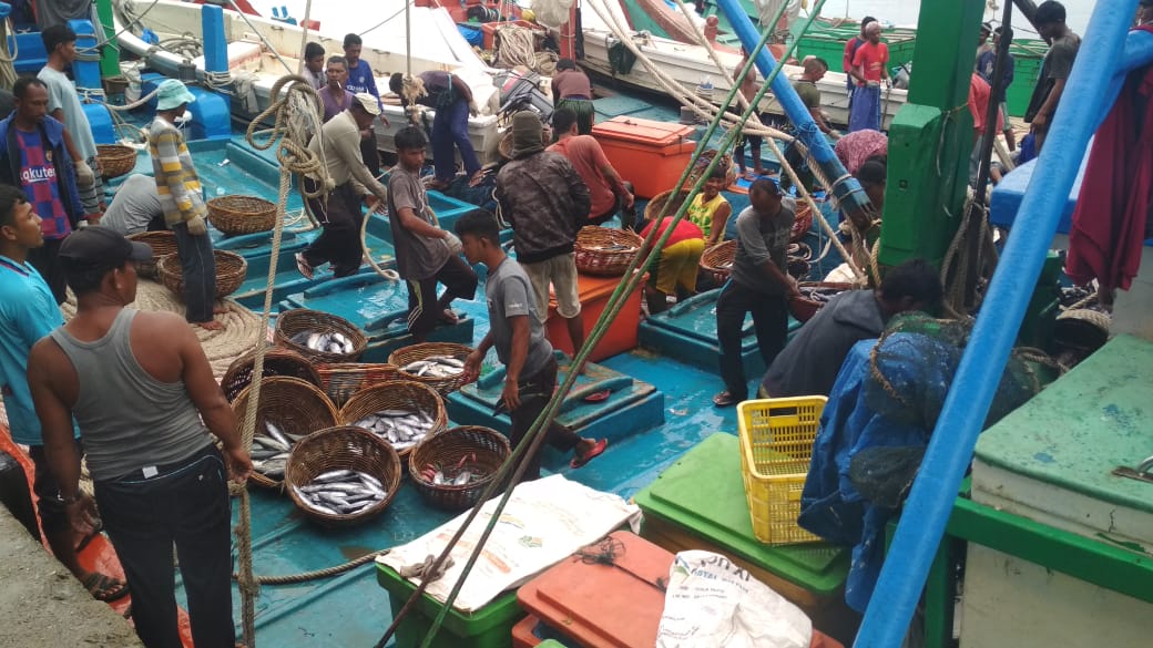 tangkapan nelayan di TPI Lampulo / foto; Fitri Juliana