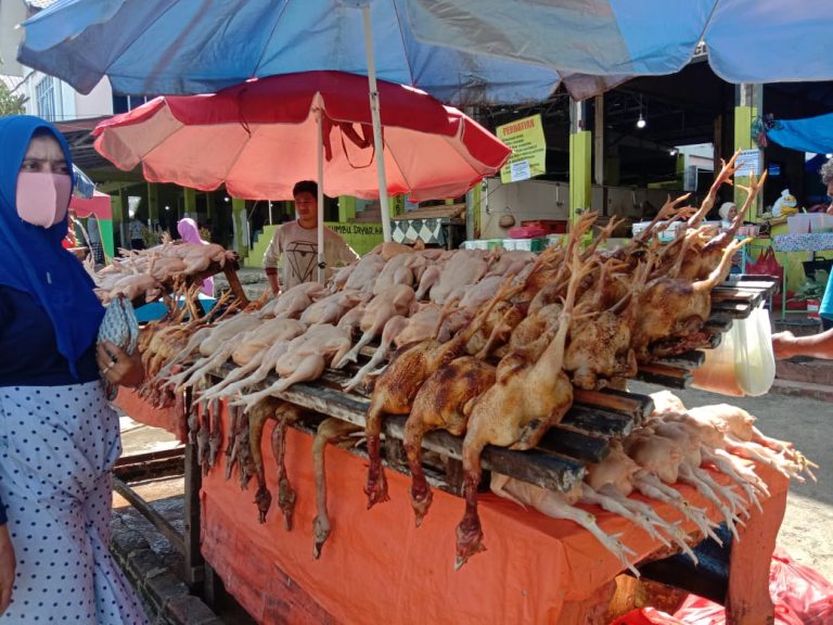 Harga Ayam Pedaging Naik Drastis, Capai Rp 60 Ribu