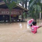 Banjir di Aceh Tamiang Meluas, 4.147 Orang Mengungsi